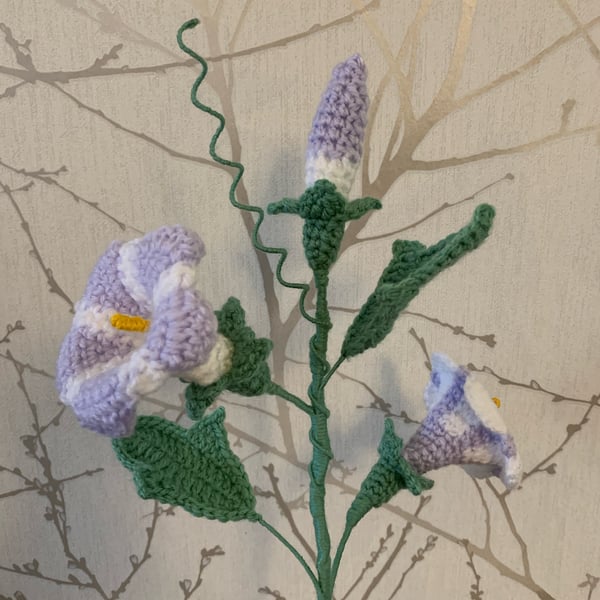 Crochet, Morning glory flowers  