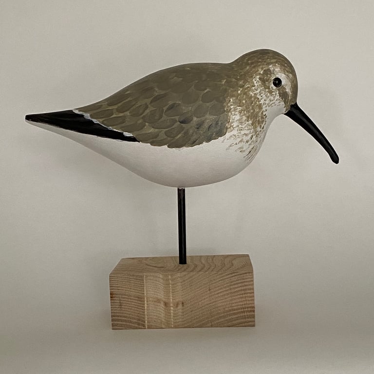 Dunlin