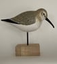 Dunlin - Image 1