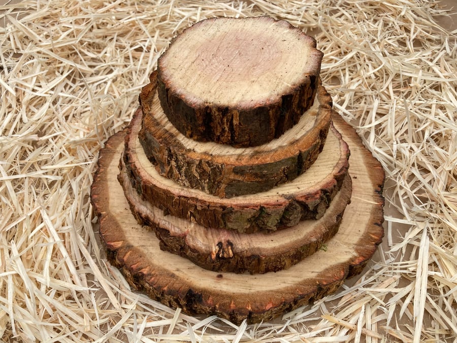 Rustic round green wood log slices cake stands displays craft design W 9 - 30 cm