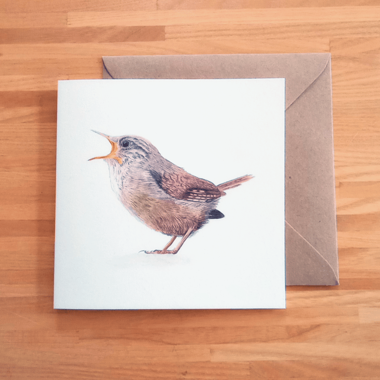 Set of x4 Wren in Coloured Pencil Eco Note Card (Blank inside) - with envelopes