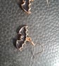 Halloween themed earrings-batwings - Image 1