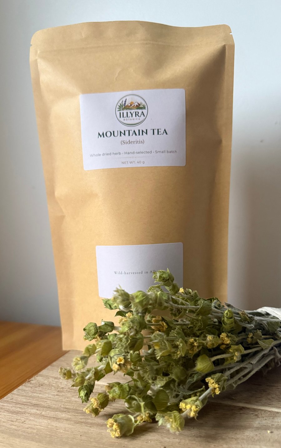 Wild Albanian Mountain Tea (Sideritis) – Hand Harvested Herbal Tea