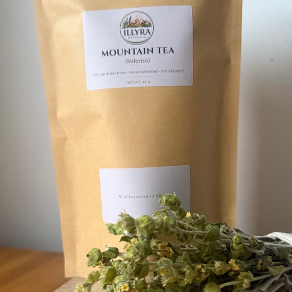 Wild Albanian Mountain Tea (Sideritis) – Hand Harvested Herbal Tea
