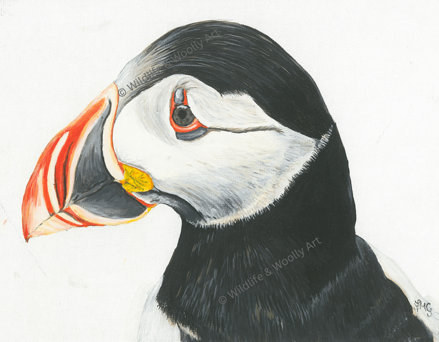 Painted Puffin (12"x10") Limited Edition Print - 1 of 20