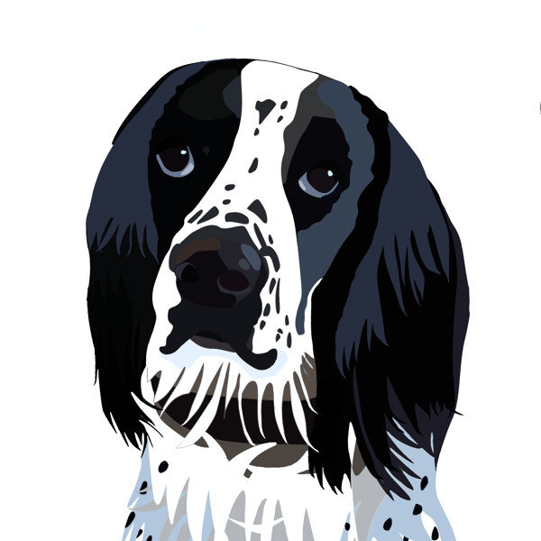Personalised pet portrait
