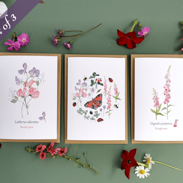 Set of 3 Summer Garden Flower Illustrated Greetings Cards Portrait