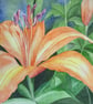 Original Watercolour - Flower - Image 1