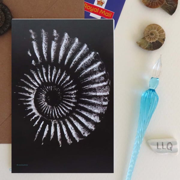 Ammonite design blank greeting card on black