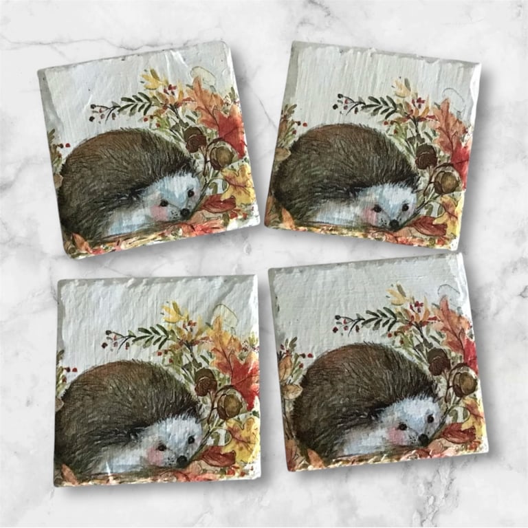 Slate Coasters Set of 4 Hedgehog