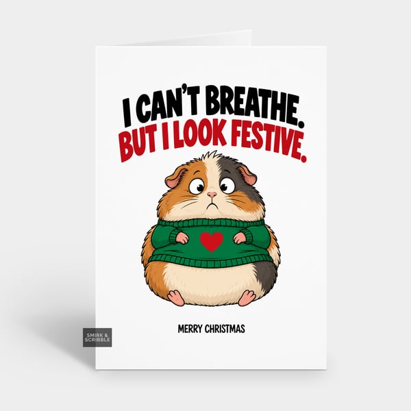 Funny Christmas Card For Him Or Her - Festive Hamster