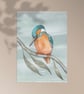 Kingfisher Postcard - Looking Down
