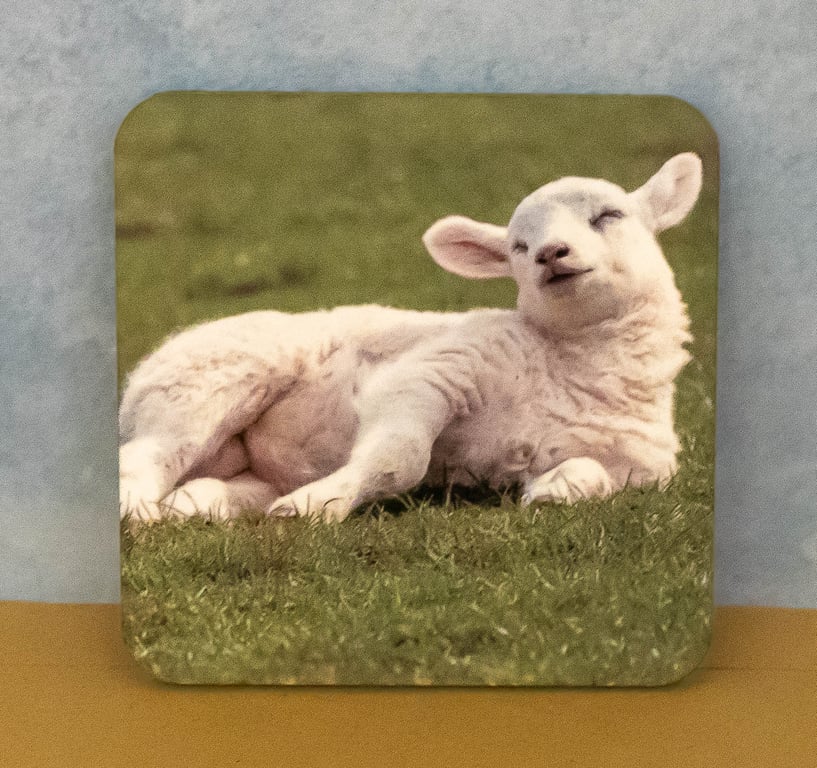 Coaster - Sleepy Lamb