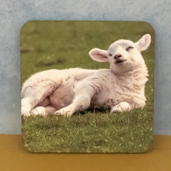 Coaster - Sleepy Lamb