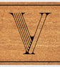 V Letter Door Mat - Monogram Letter V Welcome Mat - 3 Sizes