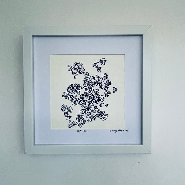 India ink drawing of Achillea Framed