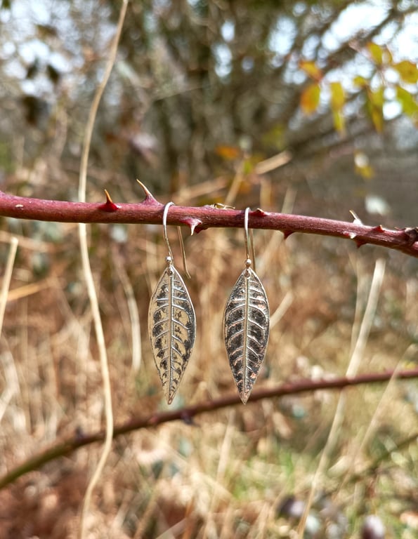 Large Silver Buddleia Leaf Earrings - Recycled Silver Leaf Earrings
