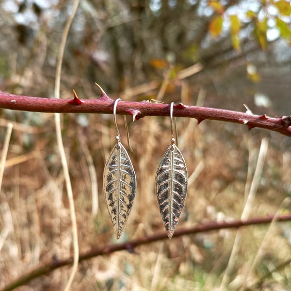 Large Silver Buddleia Leaf Earrings - Recycled Silver Leaf Earrings