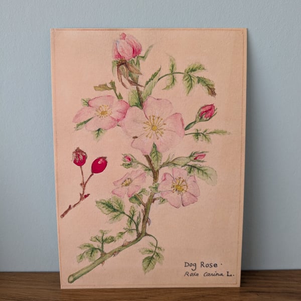 Dog rose mini print 
