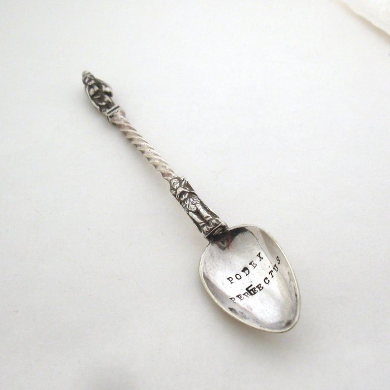 Sweary Rude Latin Insulting Spoon, Hand Stamped Vintage Apostle Coffeespoon