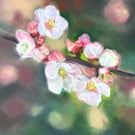 Spring blossom placemat: cork backed hardboard design