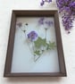 Pressed Blue Geranium Botanical Art in a Glass & wood floating frame - Image 1
