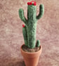 Needle Felted Flowering Cactus, Using Natural Wool Fibres. Real Terracotta Pot.  - Image 3