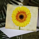 Exclusive Handmade Vintage Look Sunflower Greetings Cards on Archive Photo Paper