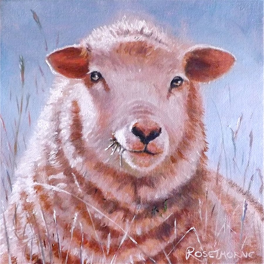 ORIGINAL OIL PAINTING ON BOX CANVAS, BONNY PENNINES EWE, SHEEP PORTRAITS.