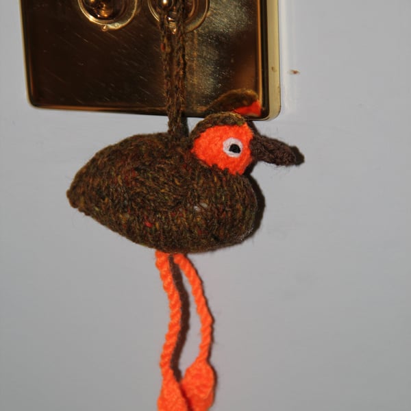 Little Brown Dangly Bird