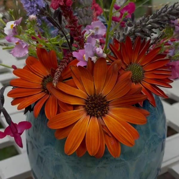Posy Vase 