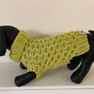 Dog Jumper - Ideal for a Miniature Dachshund or Small Dog