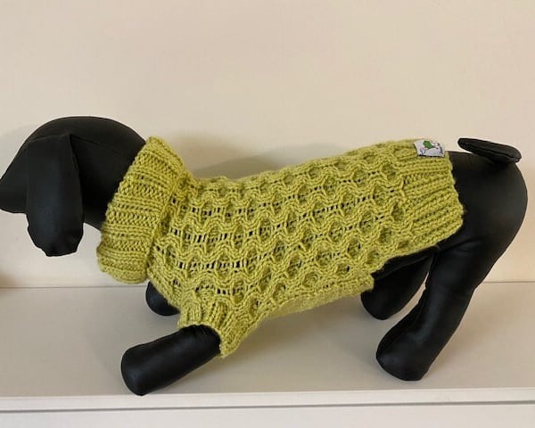 Dog Jumper - Ideal for a Miniature Dachshund or Small Dog