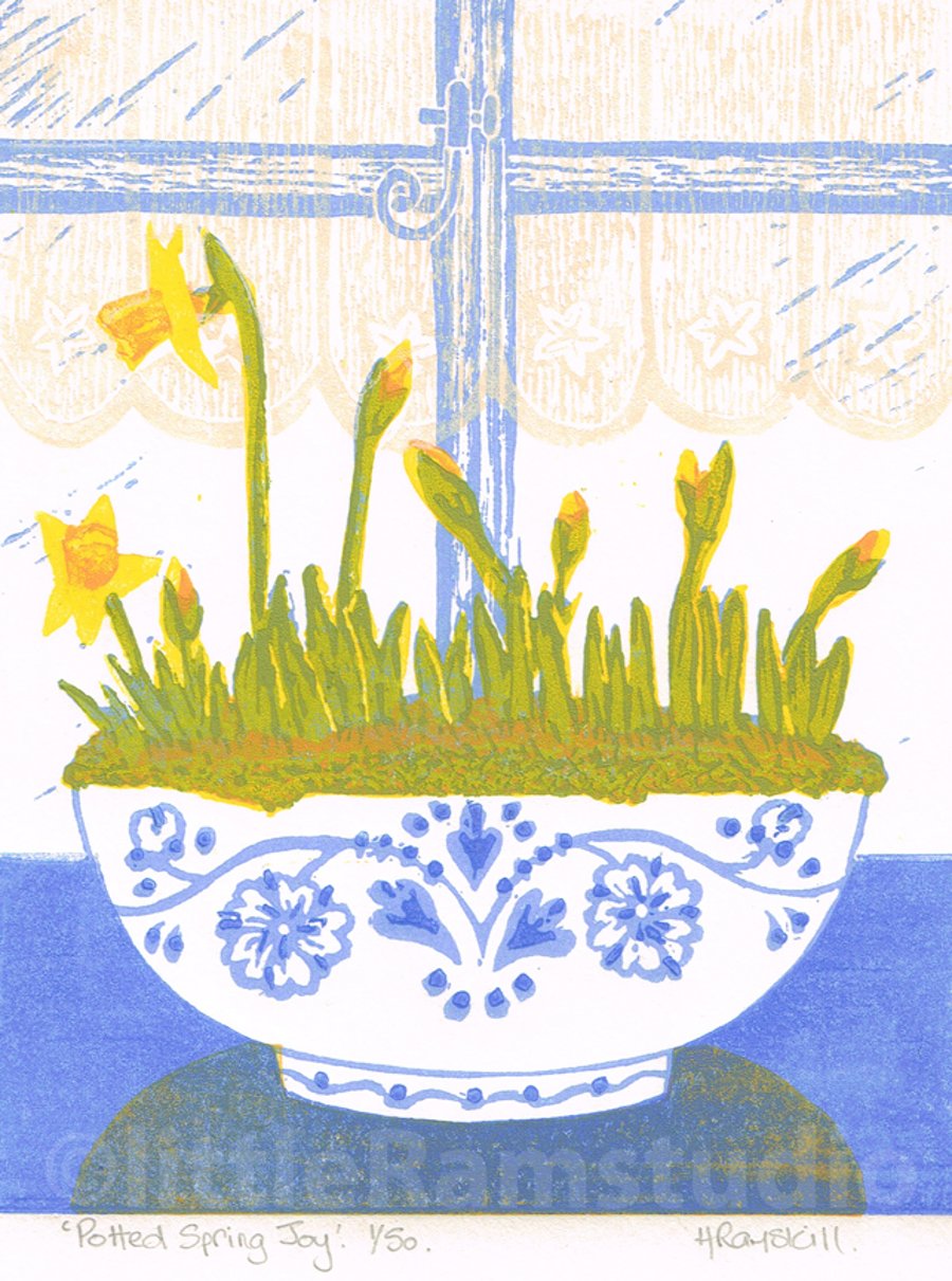 Daffodils forced bulbs - Original limited edition linocut print.