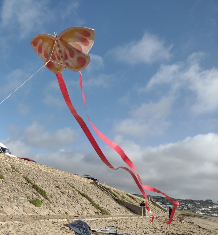 Chinese Butterfly - Handmade Kite