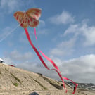 Chinese Butterfly - Handmade Kite