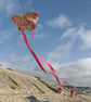 Chinese Butterfly - Handmade Kite