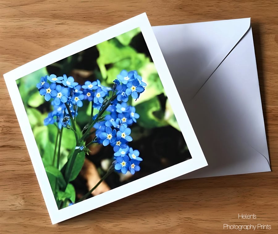 Pretty Blue Forget Me Nots Card, Flower Photography, Blank Inside, Square Card