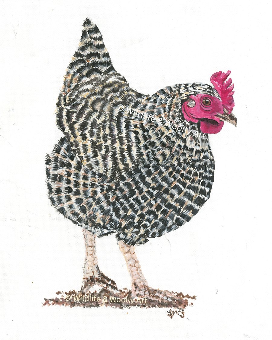 Painted Hester Hen (10"x12") Limited Edition Print - 1 of 20