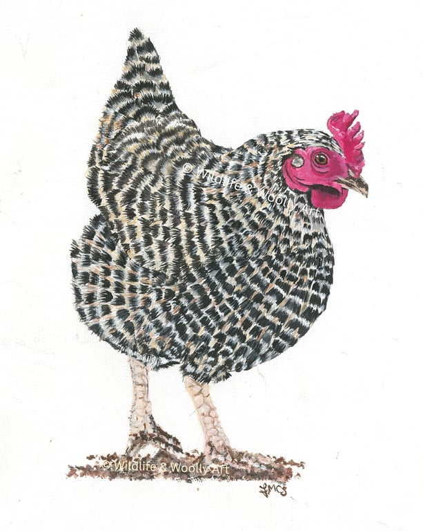 Painted Hester Hen (10"x12") Limited Edition Print - 1 of 20