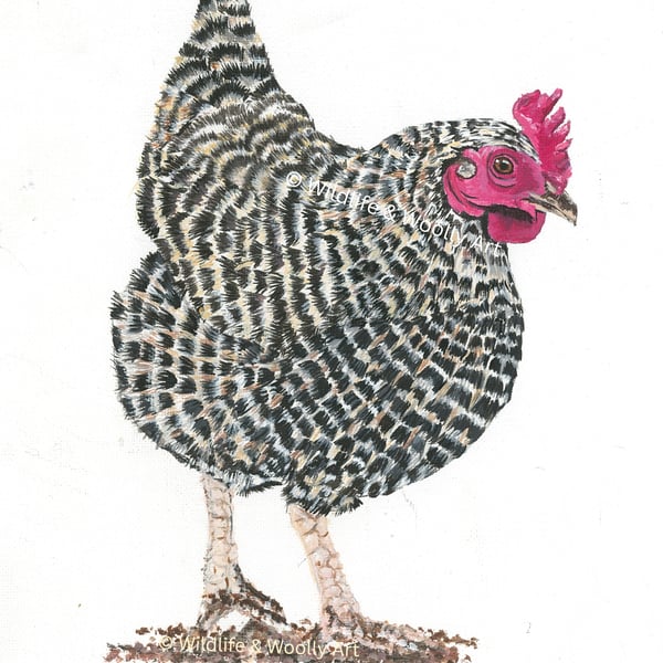 Painted Hester Hen (10"x12") Limited Edition Print - 1 of 20