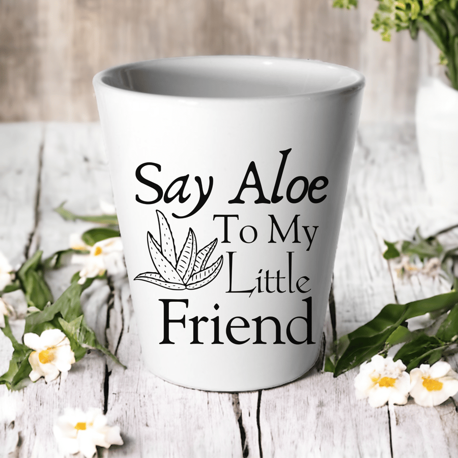 Say ALOE To My Little Friend Plant Pot -Succulent Cactus Flower Pot 