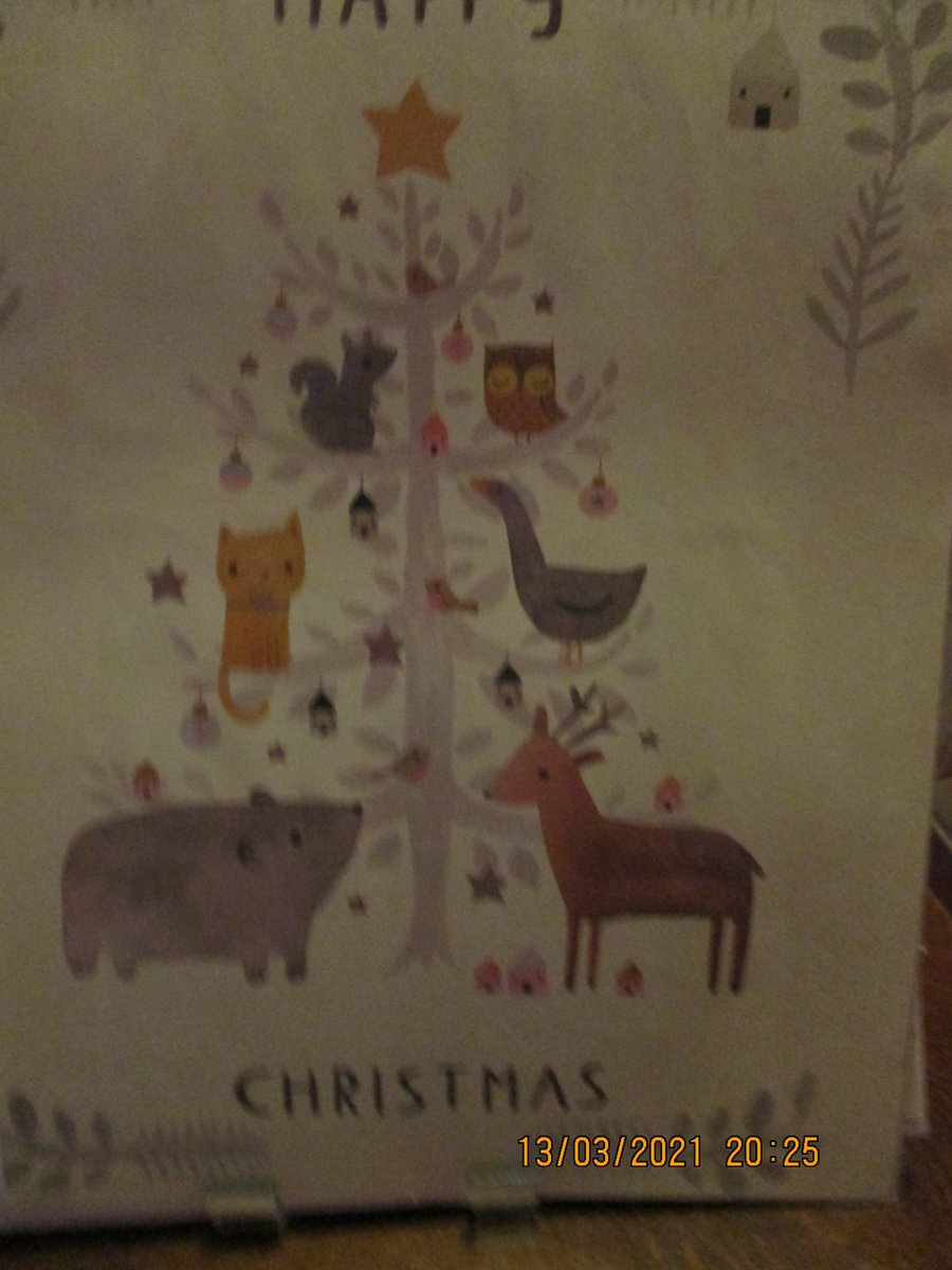 Animals on a Christmas Tree Picture