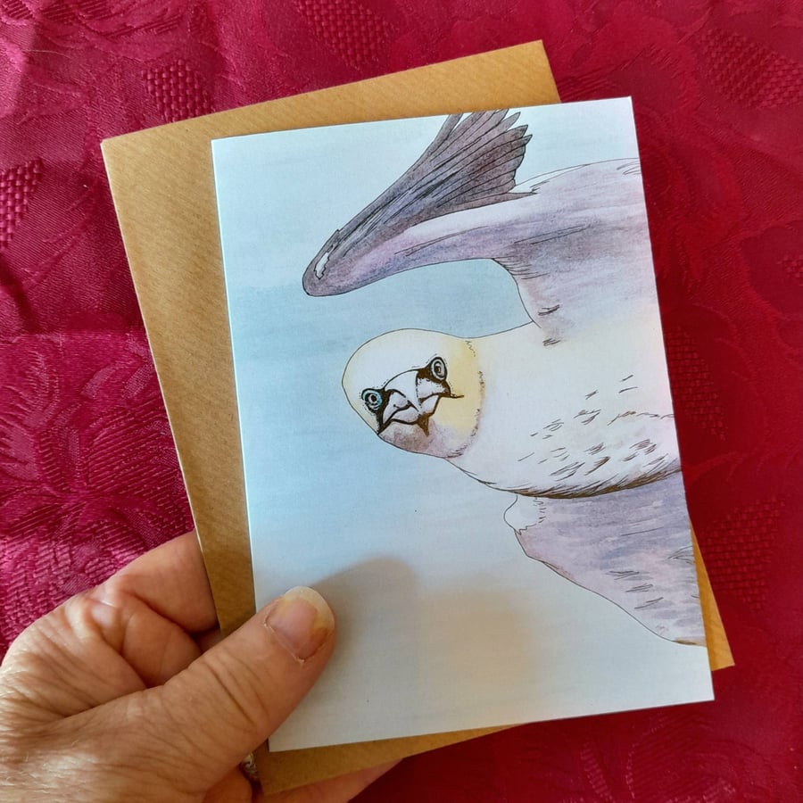 A6 Art Greetings Card, Gannet