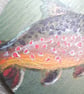 Wooden Coaster handpainted with a Brown Trout.   - Image 3