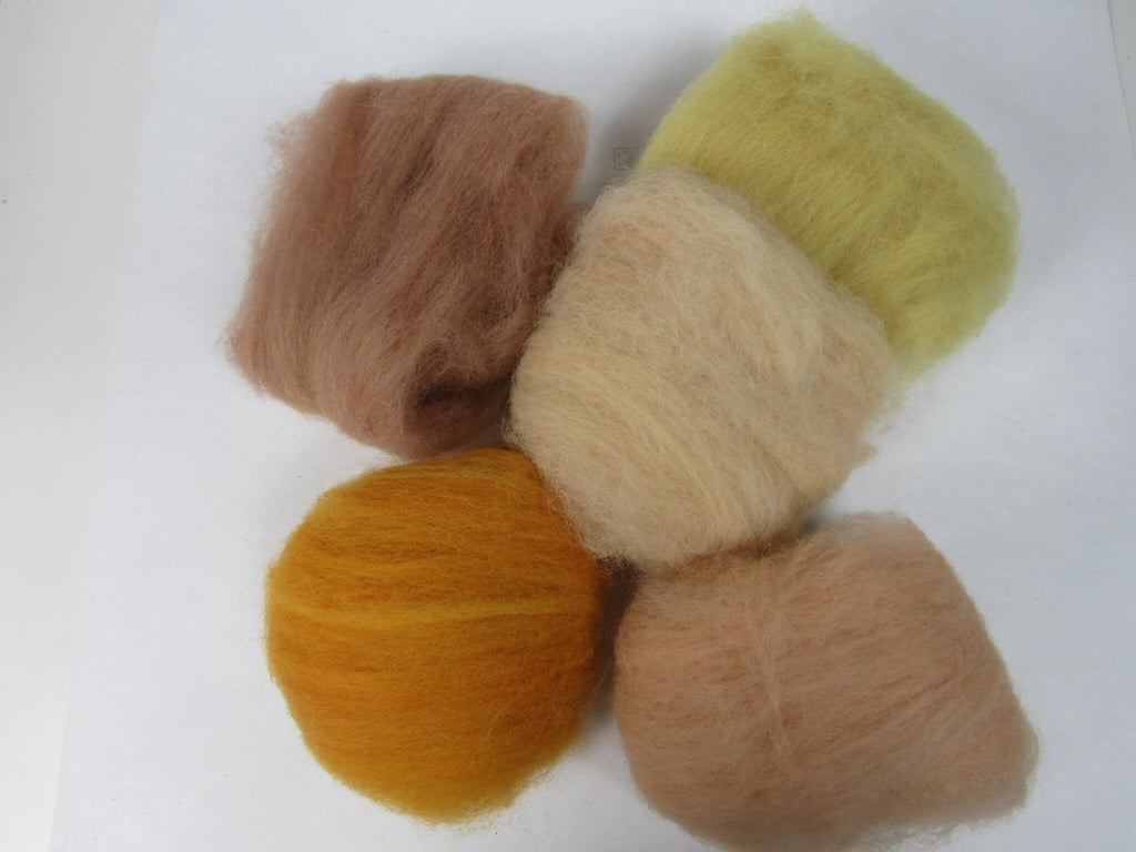 Natural Dye Mixed Autumn Colours Shetland Wool Felting Pack