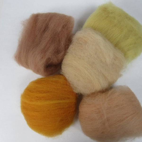 Natural Dye Mixed Autumn Colours Shetland Wool Felting Pack