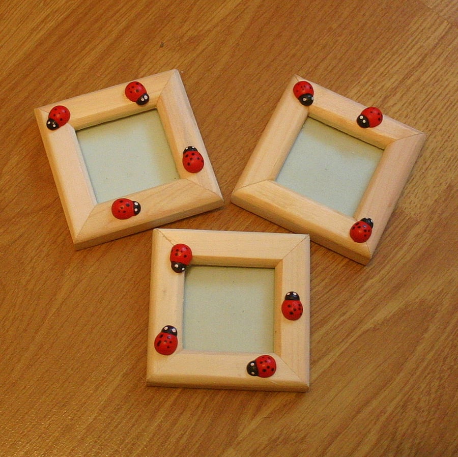3 small Ladybird hanging picture frames