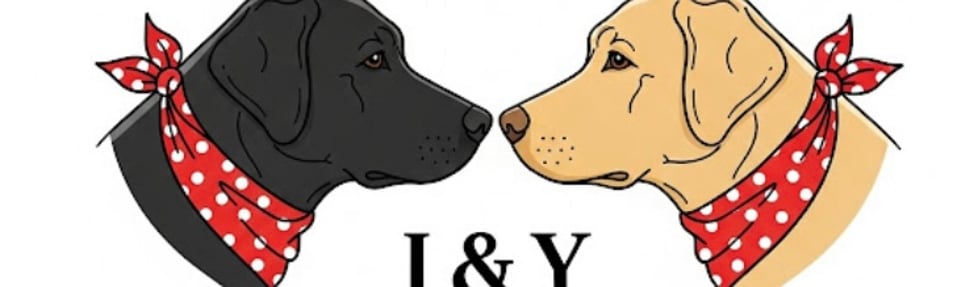 I & Y Creations