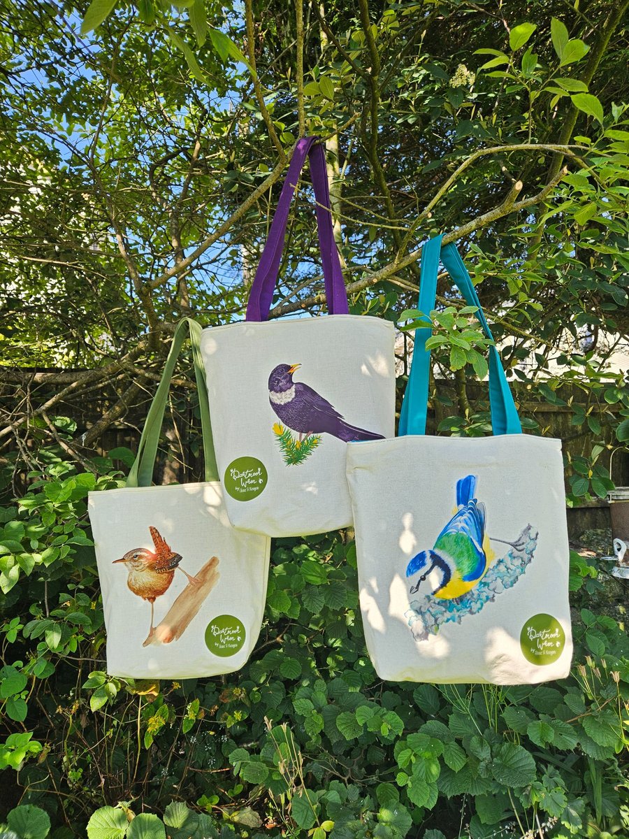 Everyday Tote Bag